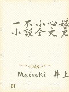 一不小心嫁总裁小说全文免费阅读