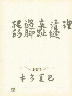 爬过来清理主人的脚趾缝