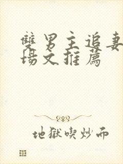 双男主追妻火葬场文推荐