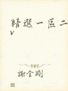 精选一区二区av