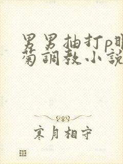 男男抽打p眼鞭菊调教小说