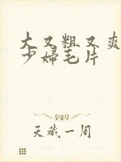 大又粗又爽又黄少妇毛片