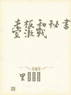 老板和秘书办公室激战