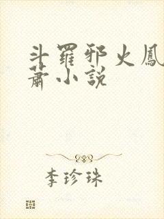 斗罗邪火凤凰林萧小说