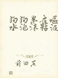 狗狗半夜呕吐黄水泡沫粘液