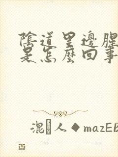 阴道里边腥臭味是怎么回事