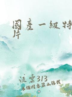 国产一级特黄大片