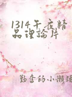 1314午夜精品理论片