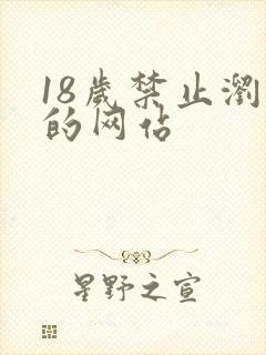 18岁禁止浏览的网站