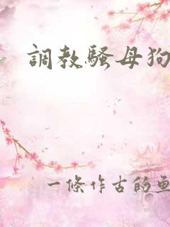调教骚母狗欠操
