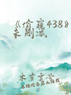 《偷窥438》未删减