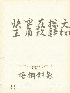 快穿在总文里抢主角玖辞txt