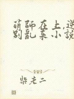 萌师在上,逆徒别乱来小说