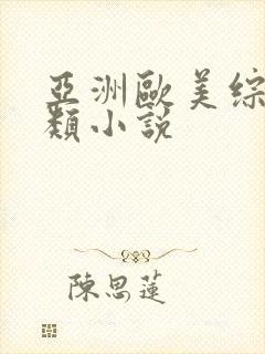 亚洲欧美综合另类小说