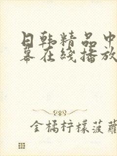 日韩精品中文字幕在线播放