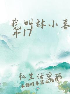 我叫林小喜 今年17