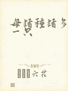 母猪种猪多少钱一只