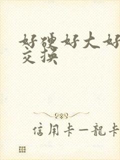 好硬好大好爽 交换