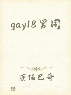 gay18男同