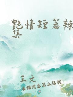 艳情短篇辣文合集