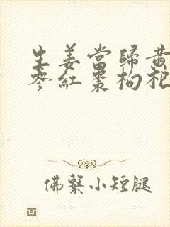 生姜当归黄芪党参红枣枸杞