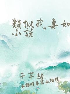 类似我妻如奴的小说