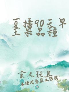 夏播90天早熟玉米品种