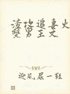 渣攻追妻火葬场双男主文