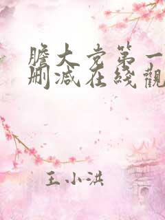 胆大党第一季无删减在线观看