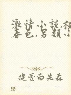 激情小说,校园春色,另类小说