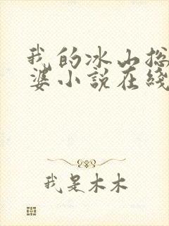 我的冰山总裁老婆小说在线阅读