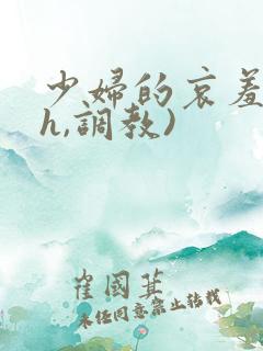 少妇的哀羞(高h,调教)