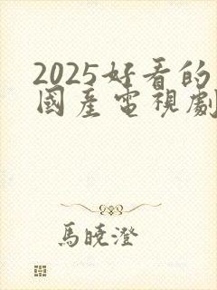 2025好看的国产电视剧推荐 前十名