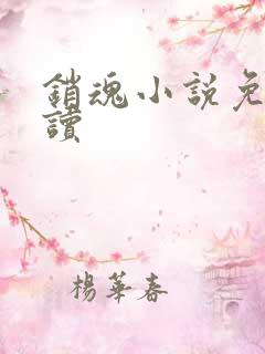 销魂小说免费阅读