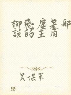 柳飞尘是哪部小说的主角