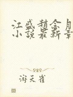 江盛赵念月晚星小说最新章节阅读