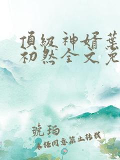 顶级神婿叶辰萧初然全文免费阅读