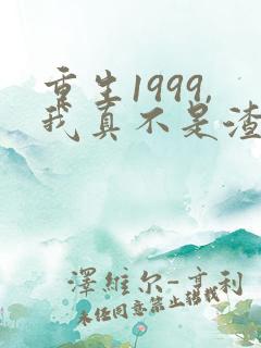 重生1999,我真不是渣男啊