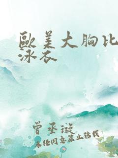 欧美大胸比基尼泳衣