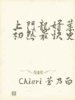 上门龙婿叶辰萧初然最快更新