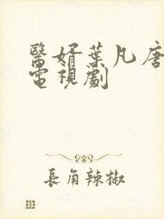 医婿叶凡唐若雪电视剧