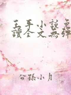 王平小说免费阅读全文无弹窗