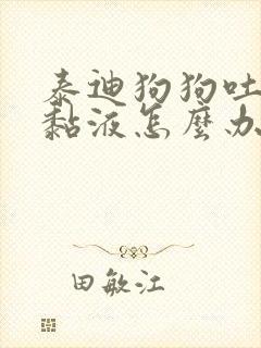 泰迪狗狗吐白沫黏液怎么办