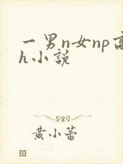 一男n女np高h小说