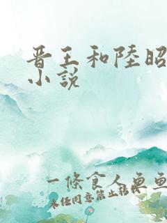 晋王和陆昭菱的小说