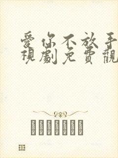 爱你不放手 电视剧免费观看