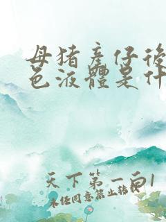 母猪产仔后流白色液体是什么原因