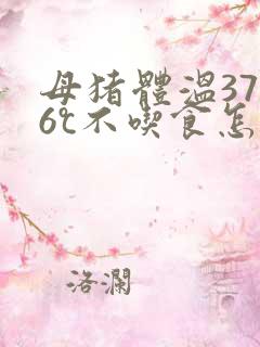 母猪体温37.6℃不吃食怎么治疗