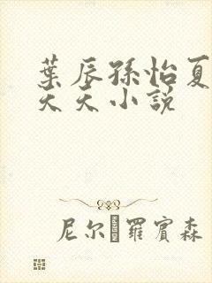 叶辰孙怡夏若雪天天小说