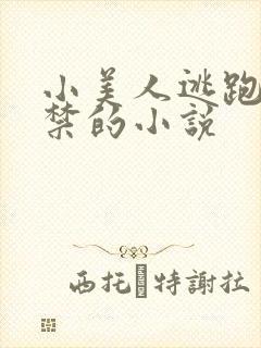 小美人逃跑被囚禁的小说